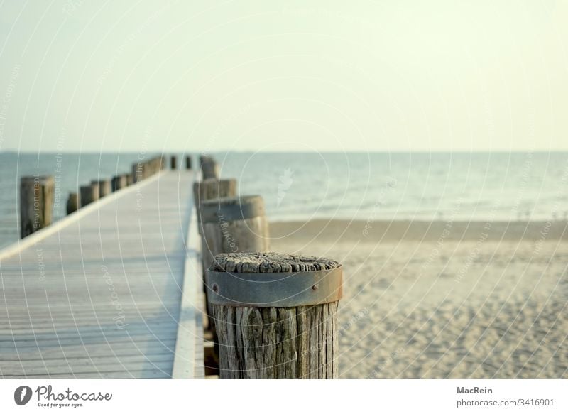 Catwalk to the sea Footbridge Beach Ocean you vacation holidays wooden posts nobody Copy Space North Sea Baltic Sea Sylt Norderney Amrum bunch Fohr Helgoland