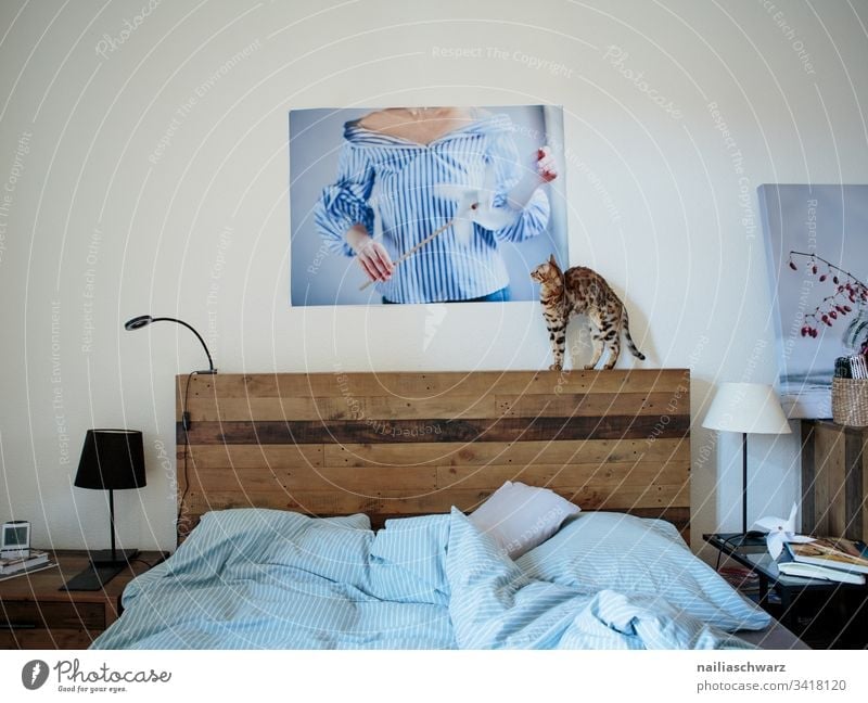 Bedroom Bedclothes Cat bengal cat Image Lampshade Blue Gray Flat (apartment) at home tranquillity Bedside table