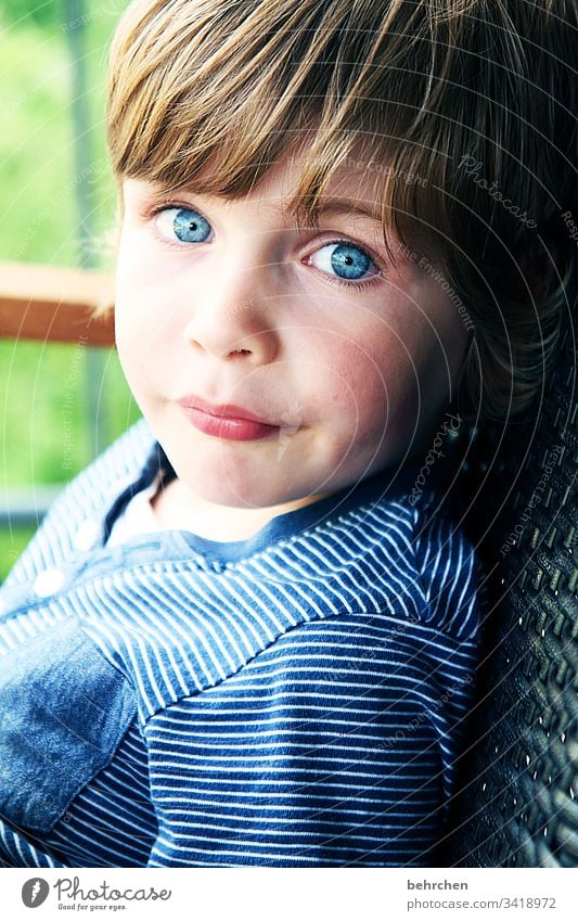 purity law | children's eyes Boy (child) Cute Brash Child Infancy blue eyes Intensive look at portrait Contrast Son Smiling Curiosity kind Love