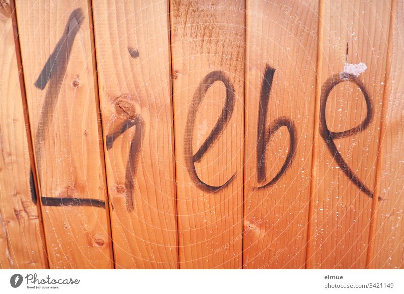 Word "love" written on a light brown wooden wall Love Wooden wall Light brown letter Write Daub Show of Love Communication In love Characters Information