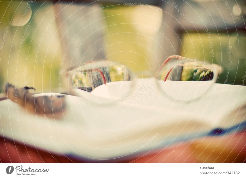 reading glasses Education Autumn Bright Calm Interest Reading Know Book Paper Eyeglasses Side Colour photo Exterior shot Copy Space middle Day Blur