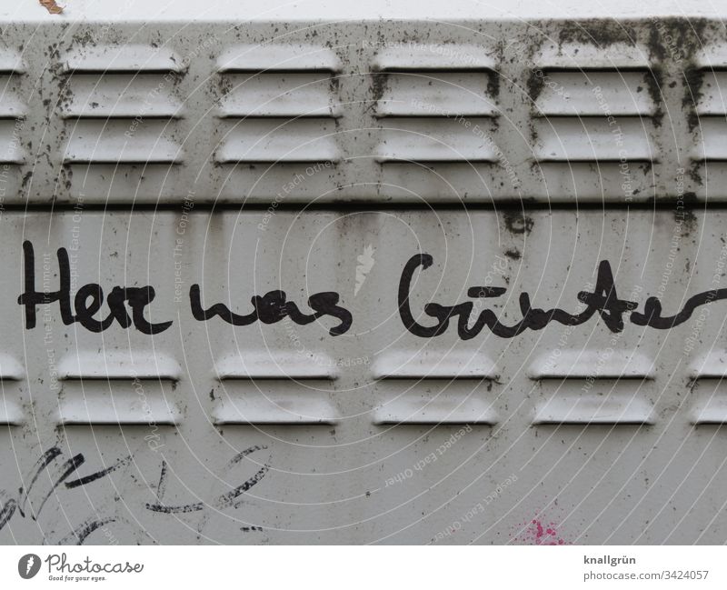Here was Günter graffiti on a transformer station Graffiti communication cursive Communication Language Word Letters (alphabet) Typography Text Characters