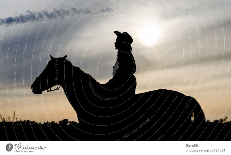 silhouette of a young girl with a hat on a horse on the background of the sunset sky animal black clouds contour country country style cowboy evening