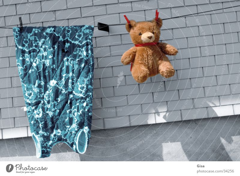 washing day Laundry Teddy bear Dress Clean Wall (barrier) Living or residing Rope Bear Shadow warm/cold colored/grey