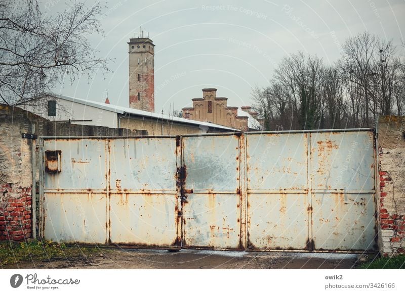 Mühlberg, Elbe Goal Tower House (Residential Structure) Wall (barrier) trees Sky cloudy cordon too Closed Gloomy Exterior shot Colour photo Day Building door