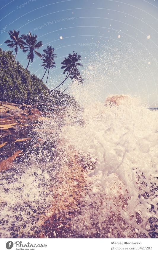 Tropical beach with wave crashing against rocks. sea summer water splash travel nature palm tree ocean retro filtered vintage instagram effect vacation sky