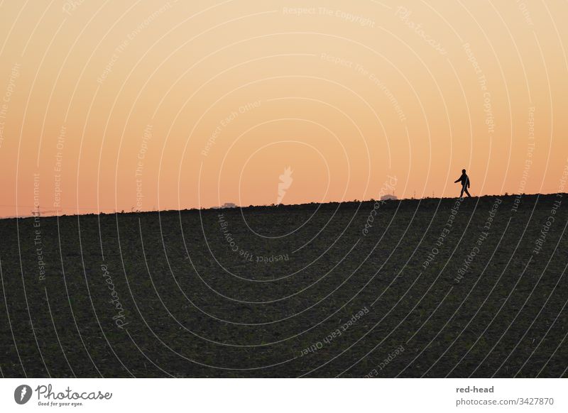 one person on the horizon, walk before sunset without clouds Horizon Sunset To go for a walk Orange Calm Peaceful Evening Sky Landscape Exterior shot Twilight