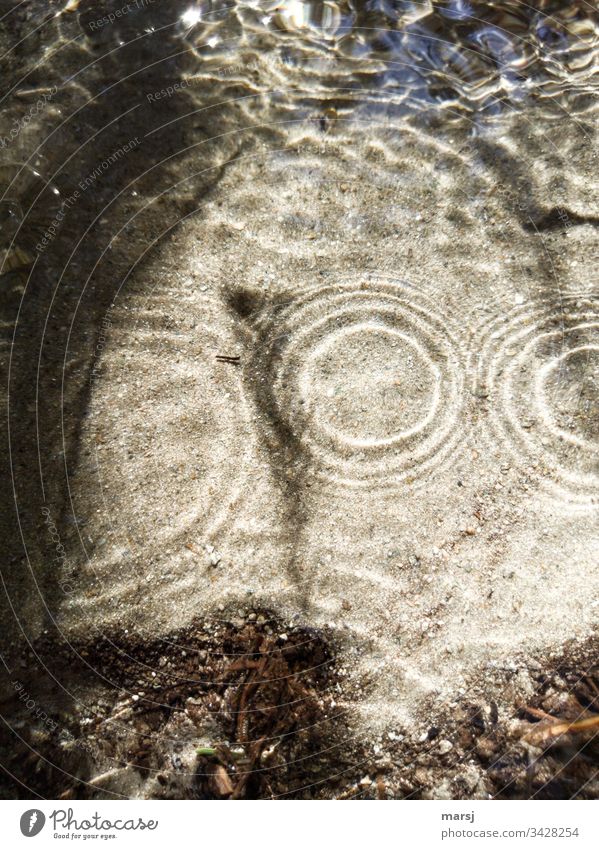 Water surface with rings that spread out and also overlap. Shadow of the water rings on sandy ground. Undulating Shaft of light Light and shadow Profound