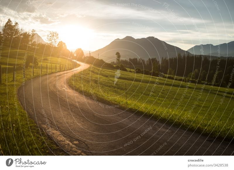 Side road in the mountains with sunset Lanes & trails Street Sunset Sunlight Back-light Mountain Austria Alps Meadow Farm