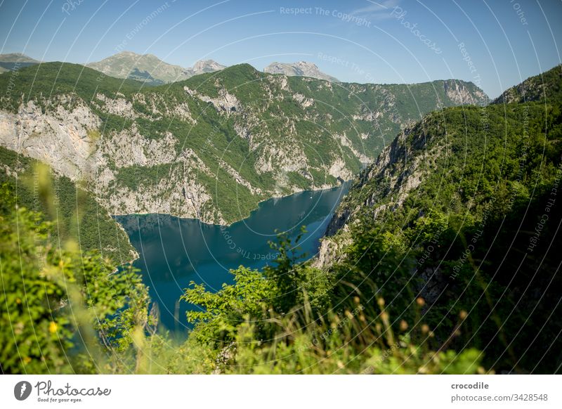 Lake Piva viewpoint Reservoir Montenegro Mountain Forest Vantage point Panorama (View) Blur Beautiful weather Blue sky clear water clear lake Water
