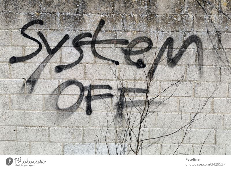 This is how it is straight - or graffiti with the writing "System OFF" on a brick wall and in the foreground a bare shrub Graffiti Wall (building)