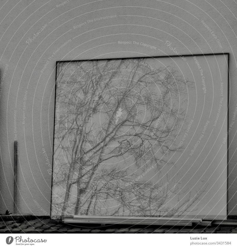 Reflection of branches, window pane and a broom Branchage Broom black-and-white Sweep Exterior shot Deserted reflection Pane Mirror Bleak Day Wall (building)