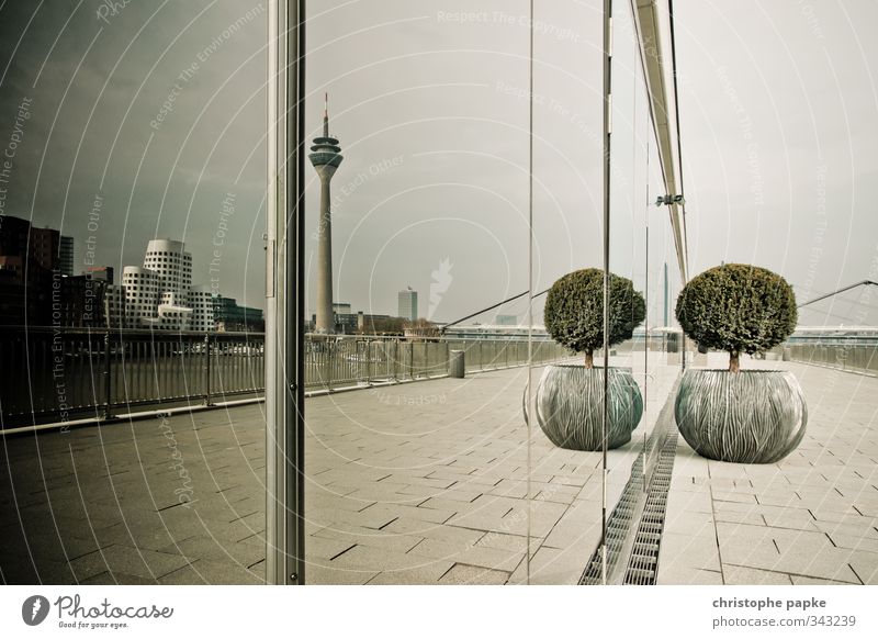 the other side Plant Tree Foliage plant Pot plant Duesseldorf Town Downtown Deserted Tower Facade Tourist Attraction Symmetry media harbour Gehry buildings