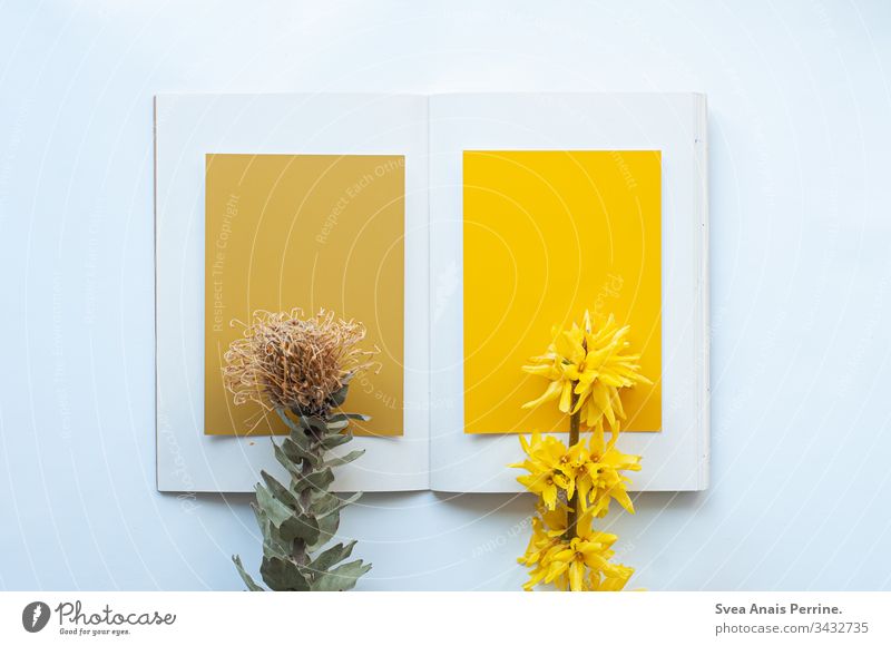 non-fiction book of the colour yellow Design Color chart Draw Modern Esthetic colour design colour consulting Colour photo Multicoloured Interior shot Close-up