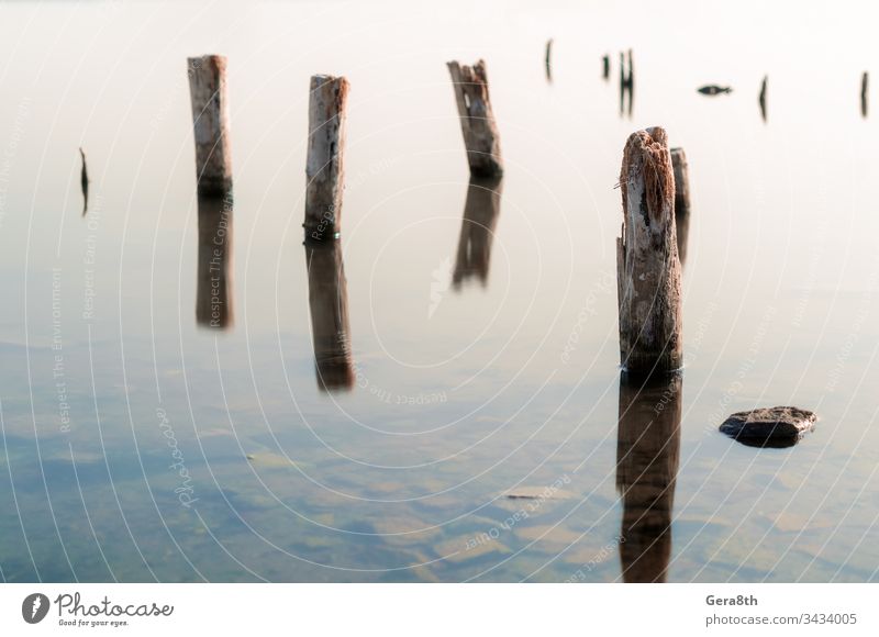 wooden columns in a calm surface of the water autumn background body of water climate color day environment heat hemp long exposure minimalism minimalistic