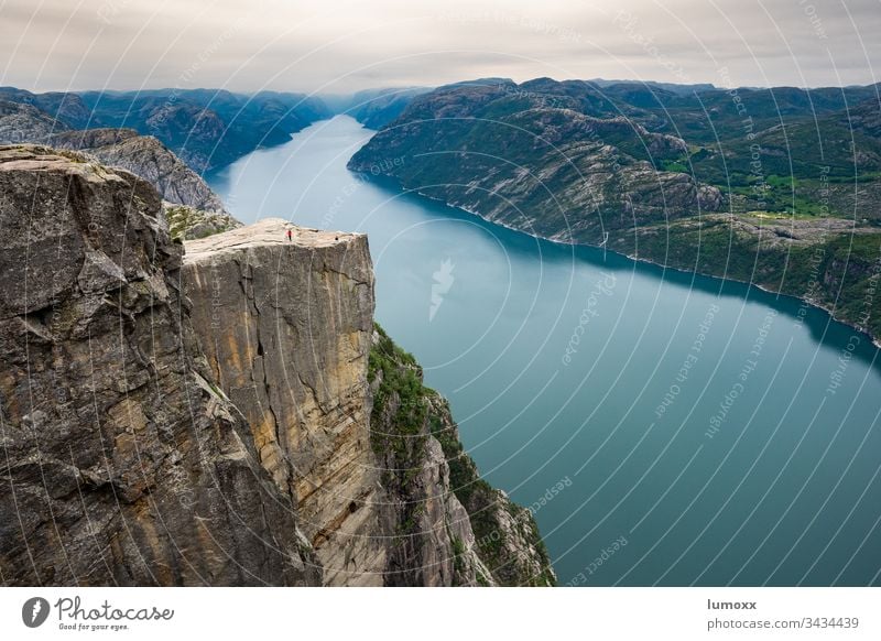 View to the Preikestolen at the Lysefjord in Norway Fjord Scandinavia Nature Water Rock coast steep coast Hiking Landscape hikers North Europe Miracle of Nature