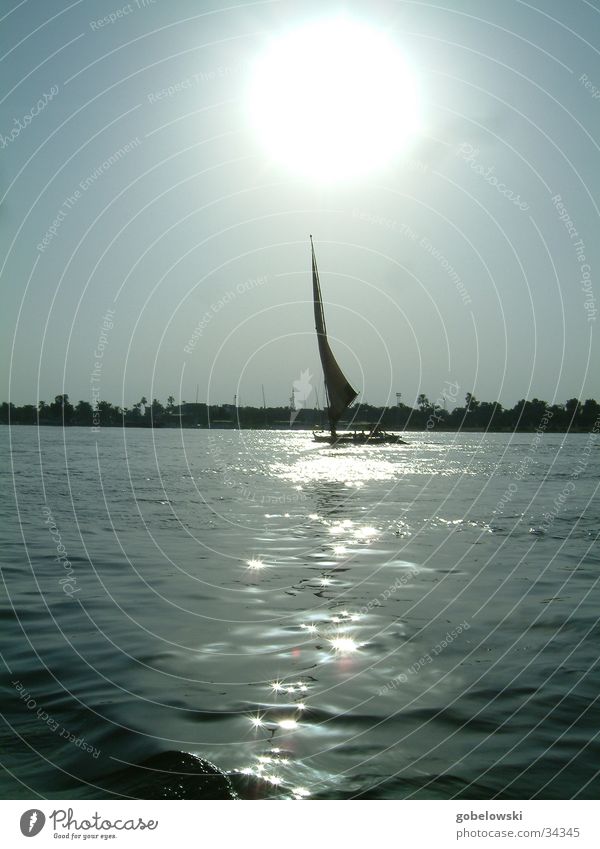 Impressions of the Nile Sailboat Sunset Navigation Water River Evening