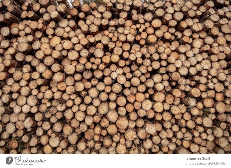 Close-up of a wood stack Wood Stack of wood texture structure Pattern Grid Round circles tribes log Tree Forest Forester Forestry Forest death Climate change