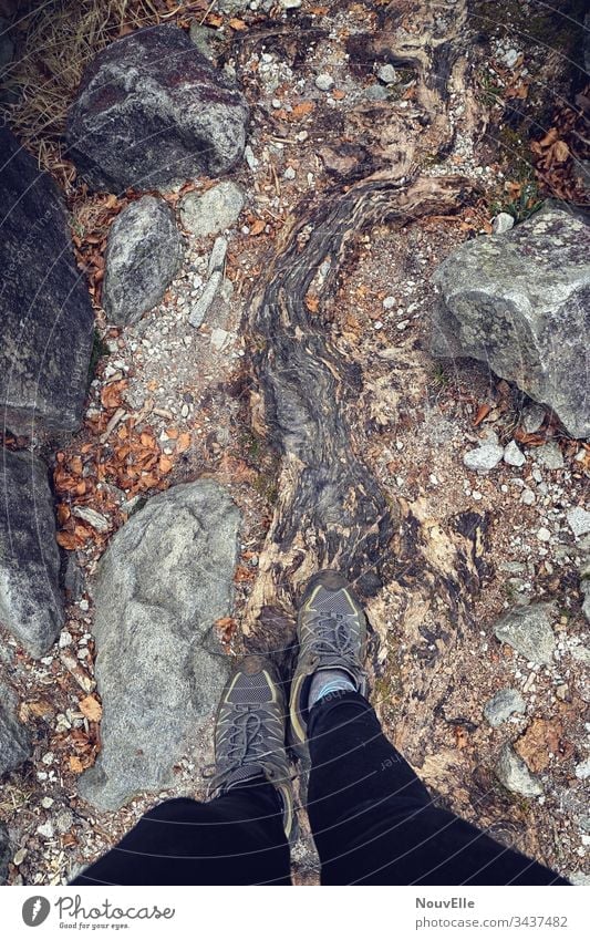 On the road in Switzerland verzasca Ticino Root Stone Hiking Walking Nature out Autumn