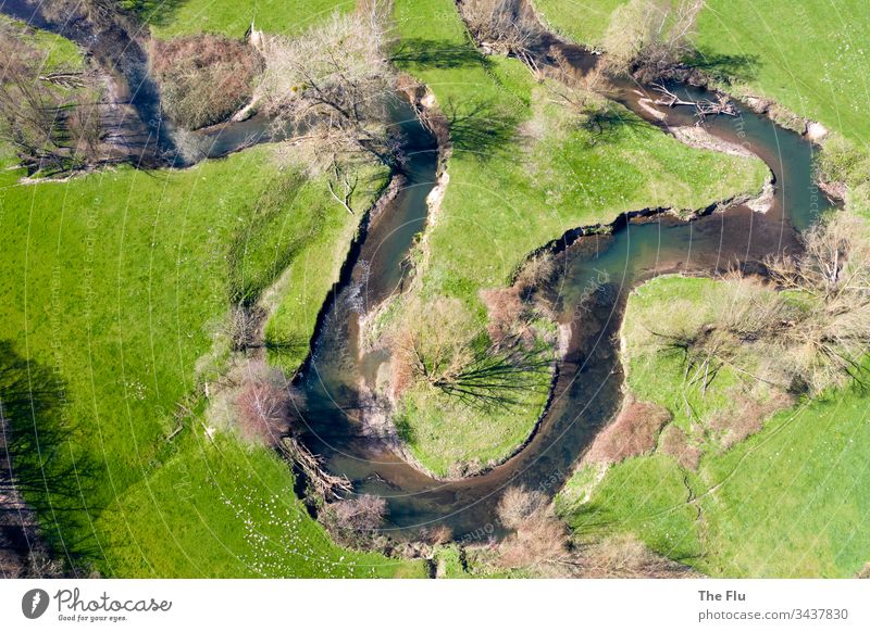 Meandering river with heart River River bank Water Riverbed meander Meadow trees Bleak Green Aerial photograph Bird's-eye view Deserted Landscape Exterior shot