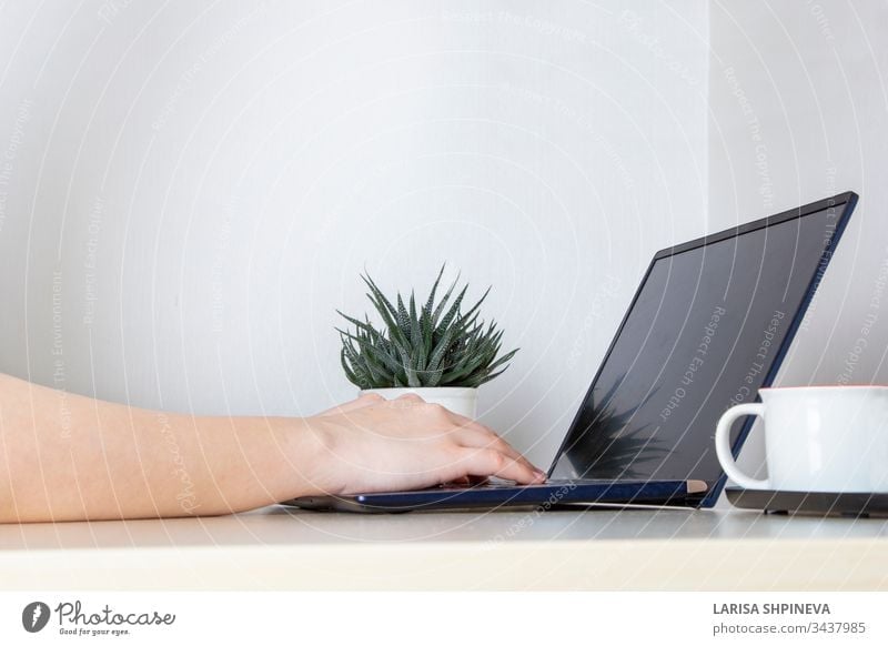 Young woman working from home on a white desk for a laptop. Girl typing from her office on a bright background with a portable computer on the keyboard Home