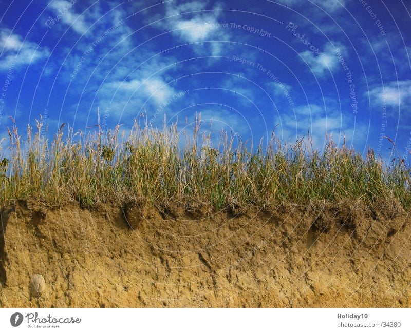 rebukes Clouds Coast Grass Dusk Background picture Sand Blue sky