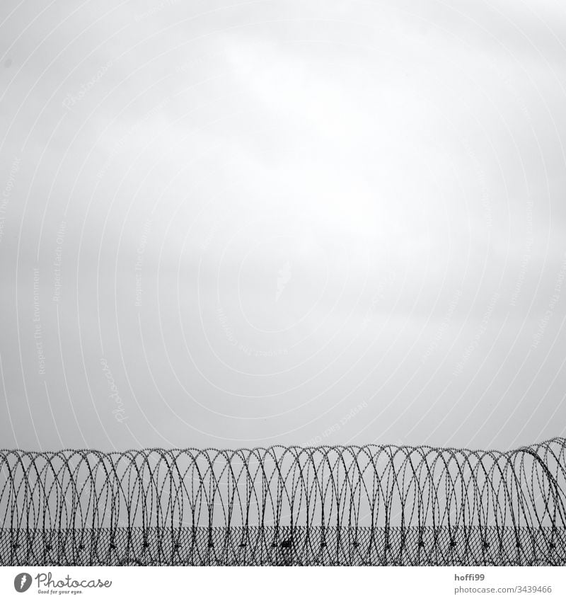 barbed wire fence Fence Barbed wire Barbed wire fence Border Barrier Deserted Wire netting fence Protection Penitentiary Dangerous Metal Safety Captured Freedom