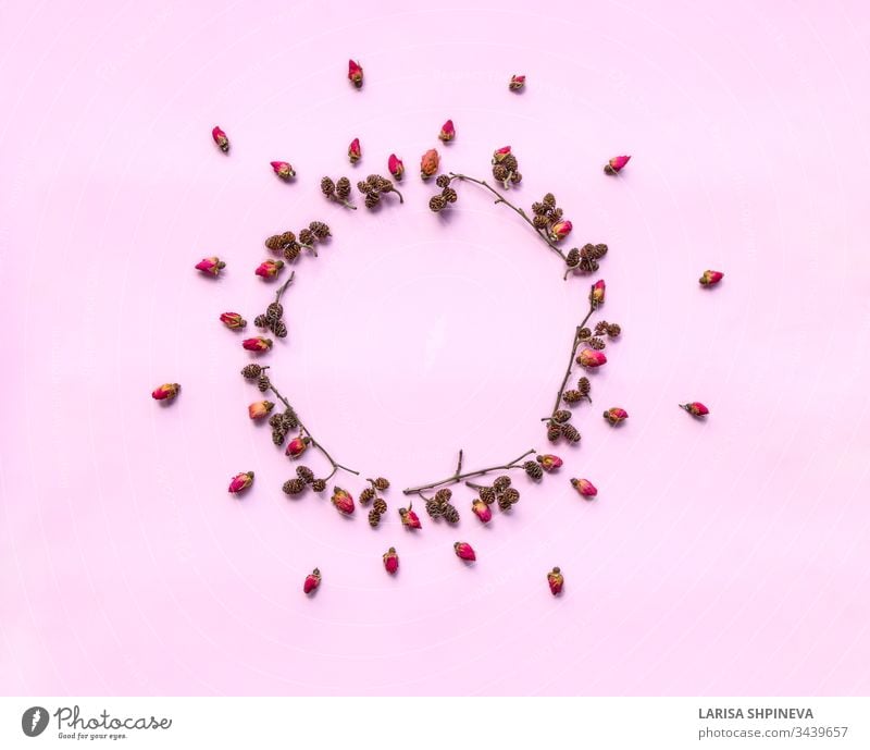 Creative flowers composition. Wreath made of fresh red roses and twigs with alder cones on pink background. Minimal concept for greeting cards, wedding invitations. Flat lay, top view, copy space.