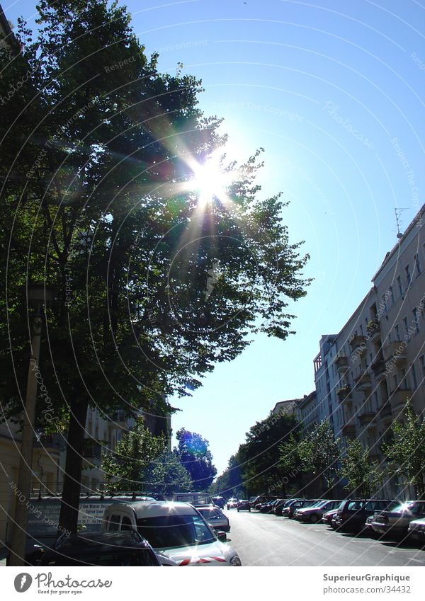 morning Tree Architecture Scharnweber Street Sun Car