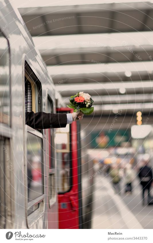 Arrival train station Train station Platform Welcome Bouquet flowers Receive Collect arm received Central station voyage Transport astonished Surprise