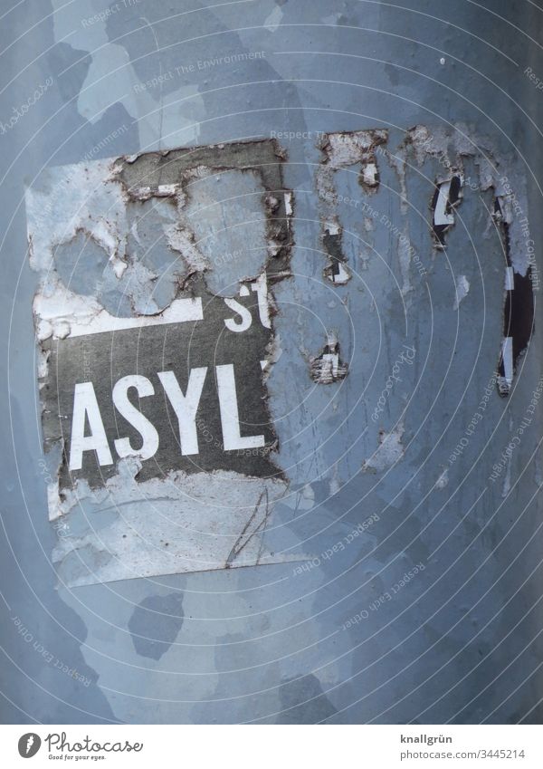 Detail of a broken sticker "ASYL Asylum Communicate stickers Word Letters (alphabet) Typography Characters Latin alphabet Capital letter Language Text