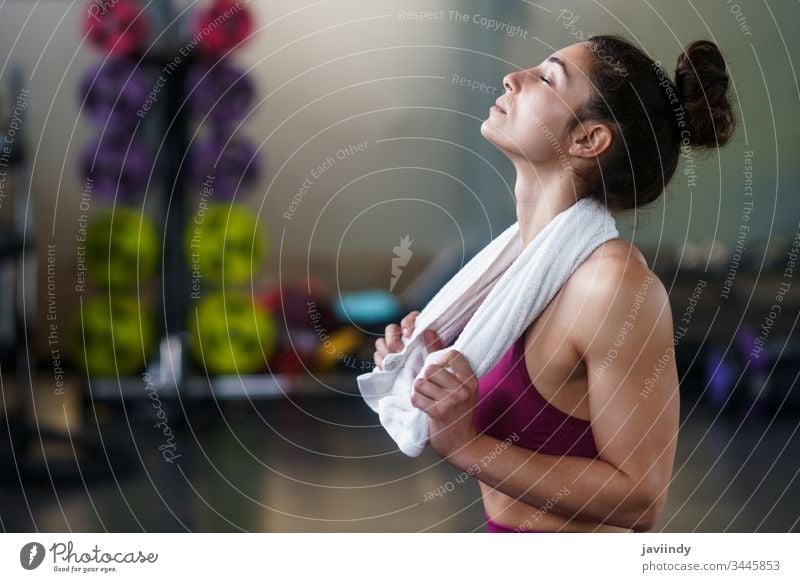 Woman Resting After Exercises at the Gym woman towel rest break girl resting exercise young sitting active gym fitness sport female health lifestyle portrait