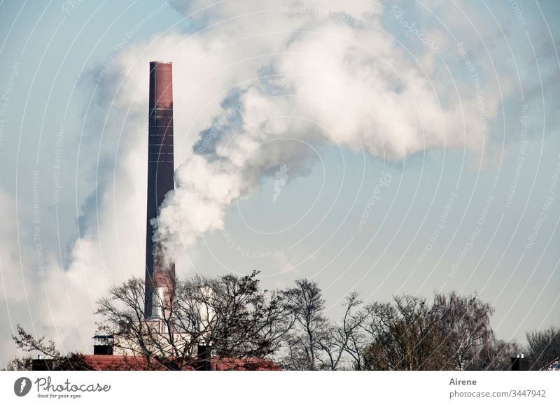 Climate change | Paper mill working at full speed Day Energy Environmental pollution Smoking Exhaust gas Smoke Chimney Deserted White Industrial plant
