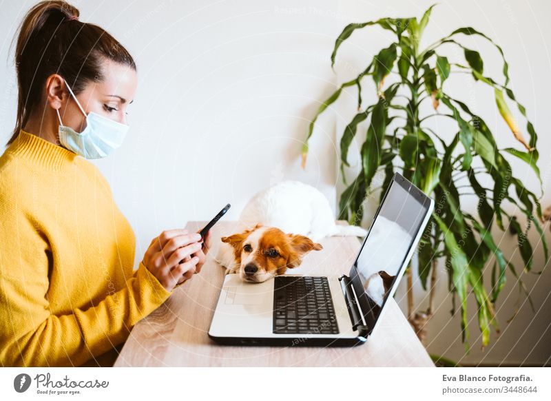 young woman working on laptop at home, wearing protective mask, cute small dog besides. work from home, stay safe during coronavirus covid-2019 concpt pet