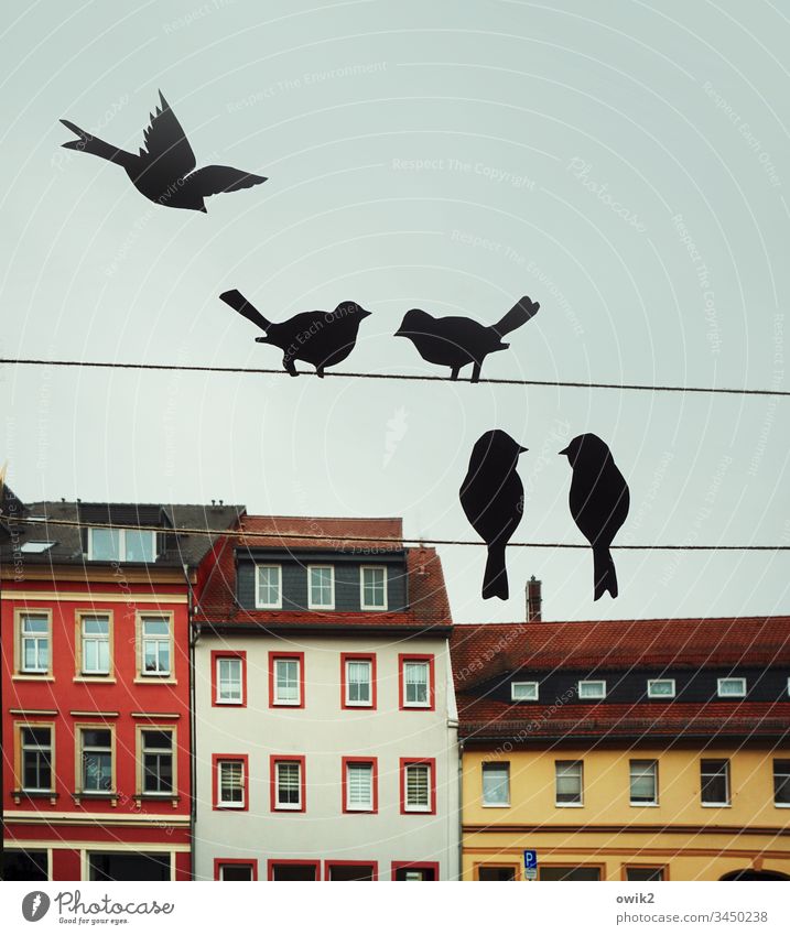 Chatting at the window decoration Window Paper birds Silhouette Flying Sit chatter tweet Contact togetherness meetings Housefront variegated Facade roofs