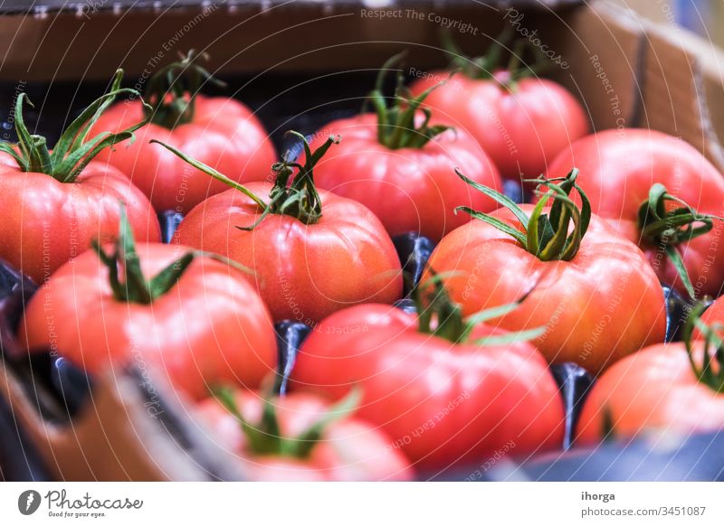 exhibition of wonderful red tomatoes Juice agriculture background beverage closeup colorful concept cooking delicious diet eat eating food fresh freshness fruit