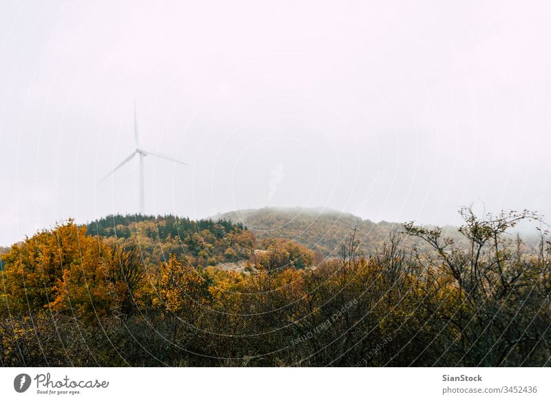 Wind power generator in mountain with fog wind energy forest autumn trees turbine windmill sunrise renewable sky sunset electricity technology green blue plant
