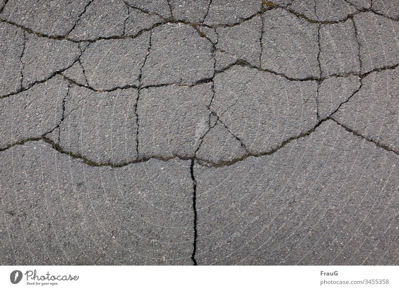 ripped Street street from above Traffic infrastructure Asphalt cracks Broken Pattern Structures and shapes Moss Gray