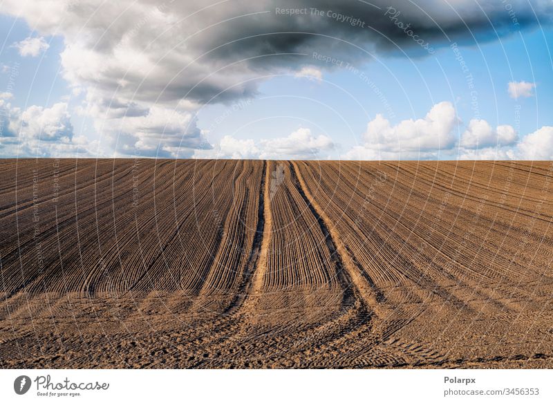 Plowed field with tracks under a blue sky sowing tractor growing ploughed view natural dirty harvest outdoors country furrow seed farming texture food seedbed