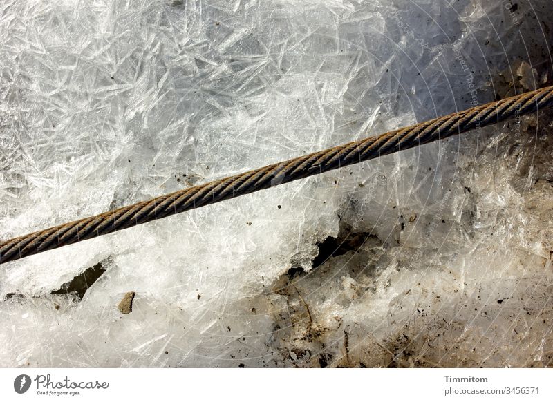 Steel cable over frozen Neckar Ice Period of time Frozen Winter Cold Structures and shapes steel cable Frost Deserted Exterior shot