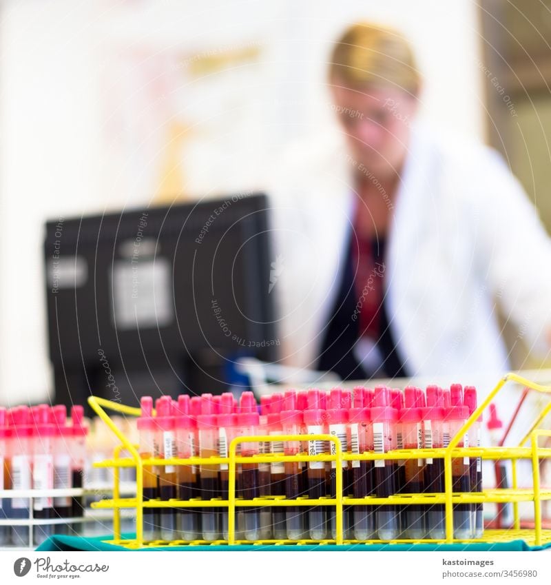 Rack of tubes with blood samples. medicine science test rack laboratory analysis scientific research biology experiment chemistry hospital healthcare