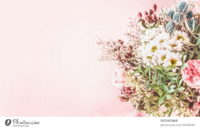 Pretty summer flowers bunch arrangement at pale pink background. Floral background pretty floral background blooming natural copy space border frame marguerite