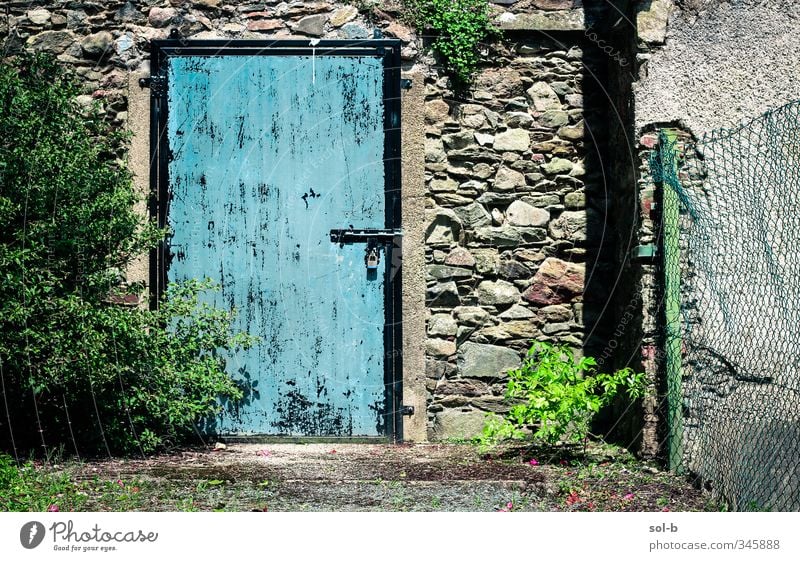 blue Living or residing Garden Nature Plant Bushes Ivy Building Architecture Wall (barrier) Wall (building) Door Stone Concrete Lock Old Poverty Natural Blue