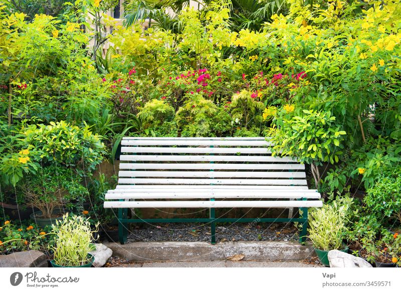 Bench in green tropical garden park bench empty nature foliage spring summer palm bloom natural blossom flower season seat vintage fresh color beautiful outdoor