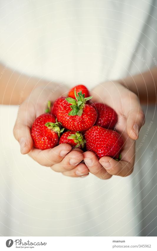 vitamin bomb Food Fruit Strawberry Vitamin C Vitamin-rich Nutrition Organic produce Vegetarian diet Diet Finger food Hand Fingers To hold on To enjoy Illuminate