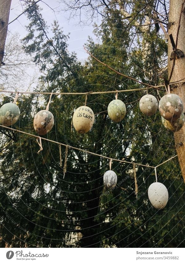 Easter eggs happy easter Egg chain Easter decoration Nature Spring