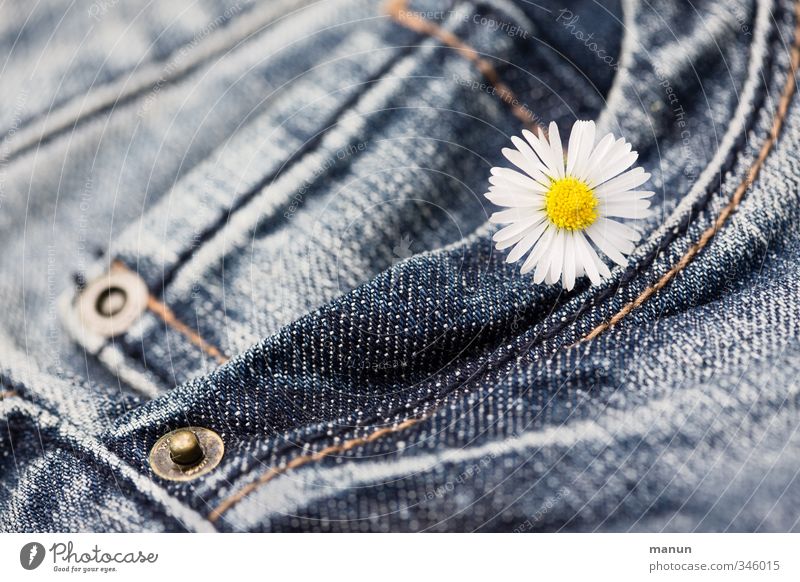 flowered trousers Flower Blossom Daisy Clothing Pants Jeans Happiness Kitsch Funny Natural Classic Colour photo Close-up Deserted Copy Space left
