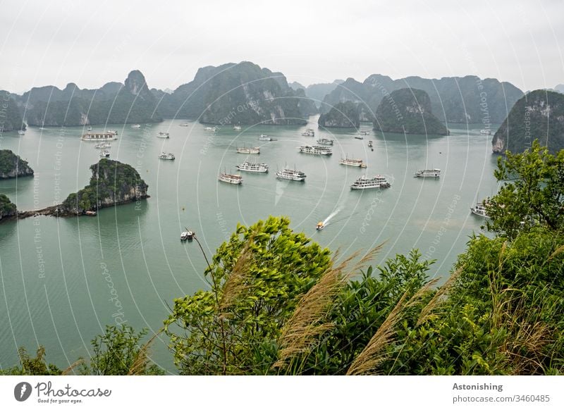 Boats in Ha Long Bay, Vietnam Exotic Copy Space top Tall Steep Virgin forest Colour photo Day Green Sand Beach leaves Forest Sky Limestone ocean voyage