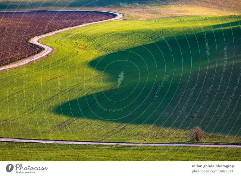 Detail of a rural landscape in Turiec region, Slovakia. countryside fields nature abstract detail lines pattern shadow green dirt road tree