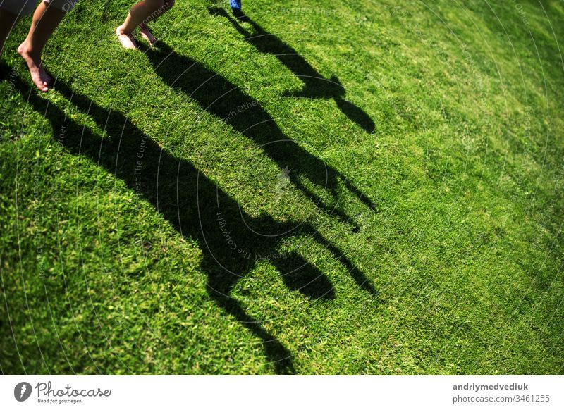Kids with their shadows on grass. silhouettes of three persons standing with their hands stretched up kid growing background white child kids nature people